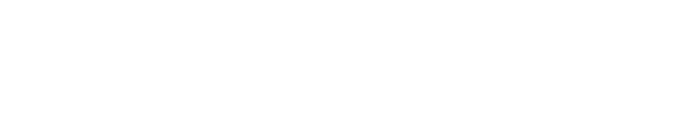 主人公の赤松雀(すずめ)は、市立図書館“自転車課”(自転車で図書を配達する)で働いている。彼女の夢は小説家だったが、いつしか書くことへのチャレンジをやめていた。一方、街では「宇和島伊達400年祭」を目前に控え、その準備に沸いていた。中でも祭りの目玉は、姫の復刻衣装の披露。しかしその元となる肝心の宇和島藩「刺繍図録」が図書館で紛失している事が発覚！ 同僚の岡崎とハナ、いまこそ彼ら自転車課が一丸となって解決へと漕ぎだす時！ だがそんな中、自転車課の廃止案が浮上してピンチに拍車がかかる。はたして刺繍図録は見つかるのか!? 図書館自転車課の存続は!? そして、がむしゃらに走り続ける雀は、新たな小説執筆へ歩み出すことができるのか！