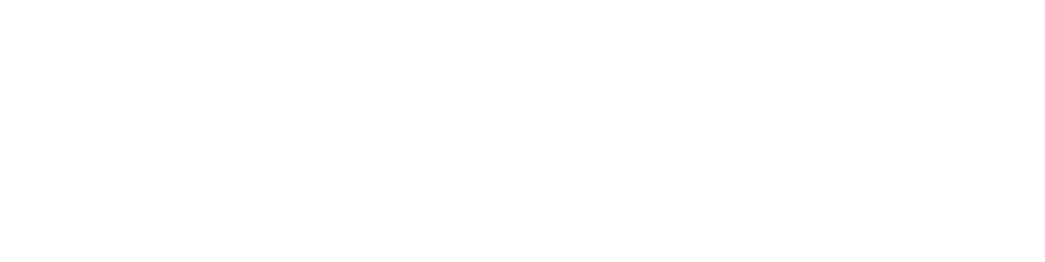 本作の舞台は、今でもお殿様が存在する珍しい街、愛媛県宇和島市。歴史を大切にしている地元の壮大な「宇和島伊達400年祭」。そこで必要な書物の行方をめぐり繰り広げられる歴史ロマン・爽やか青春ムービー。この地方の独特に温かな人々の気質が作風の支柱となっている。宇和島市立図書館“自転車課”で働く赤松雀役に『進撃の巨人』『祖谷物語 －おくのひと－』など着実に演技のステージを挙げてきている武田梨奈。その同僚で元ロードレーサーの岡崎賢一役を名古屋発大人気ユニットBOYS AND MENのメンバーでパティシエ経験を持つ小林豊。雀の家族や仲間には、内藤剛志、岡田奈々、目黒祐樹、赤井英和など豪華俳優陣が脇を固める。そしてキーマンとなる初恋の人を戦争で失ったまま孤独に暮らすトメ役は、吉行和子が演じる。オリジナル脚本を手がけメガホンをとるのは、『ライトノベルの楽しい書き方』、『瀬戸内海賊物語』、『ポプラの秋』の大森研一(愛媛県出身)。