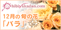 日比谷花壇の旬の花シリーズ